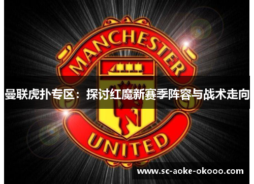 曼联虎扑专区：探讨红魔新赛季阵容与战术走向